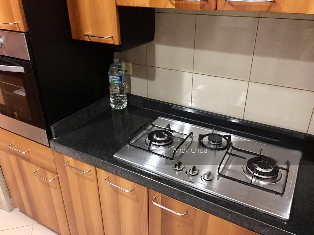 Valley Park (D10), Condominium #156687932